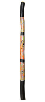Suzanne Gaughan Didgeridoo (JW572) 